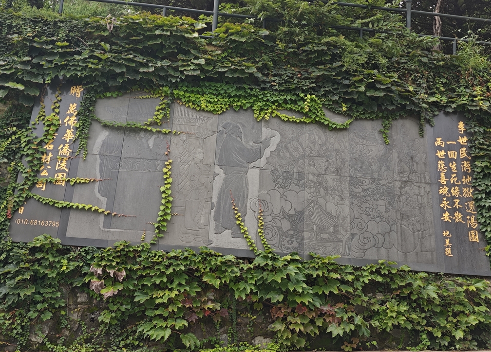 园区实拍